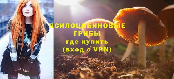 apvp Армянск