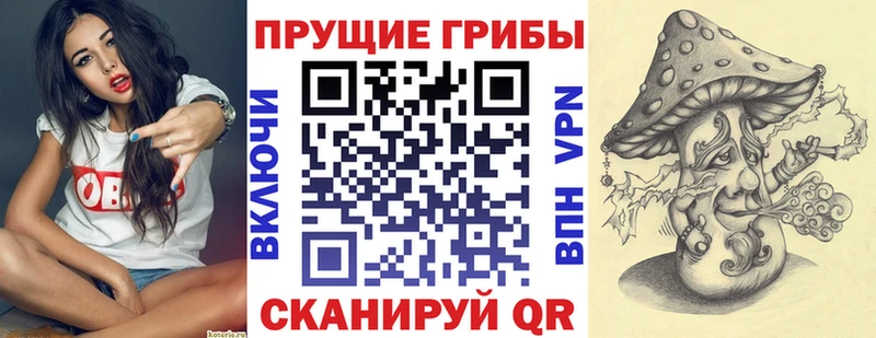 Псилоцибиновые грибы Psilocybine cubensis  закладка  Бакал 