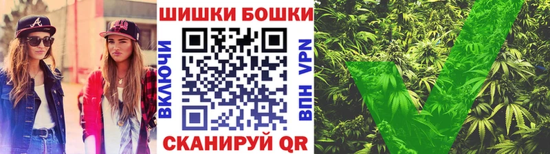 Канабис SATIVA & INDICA Бакал